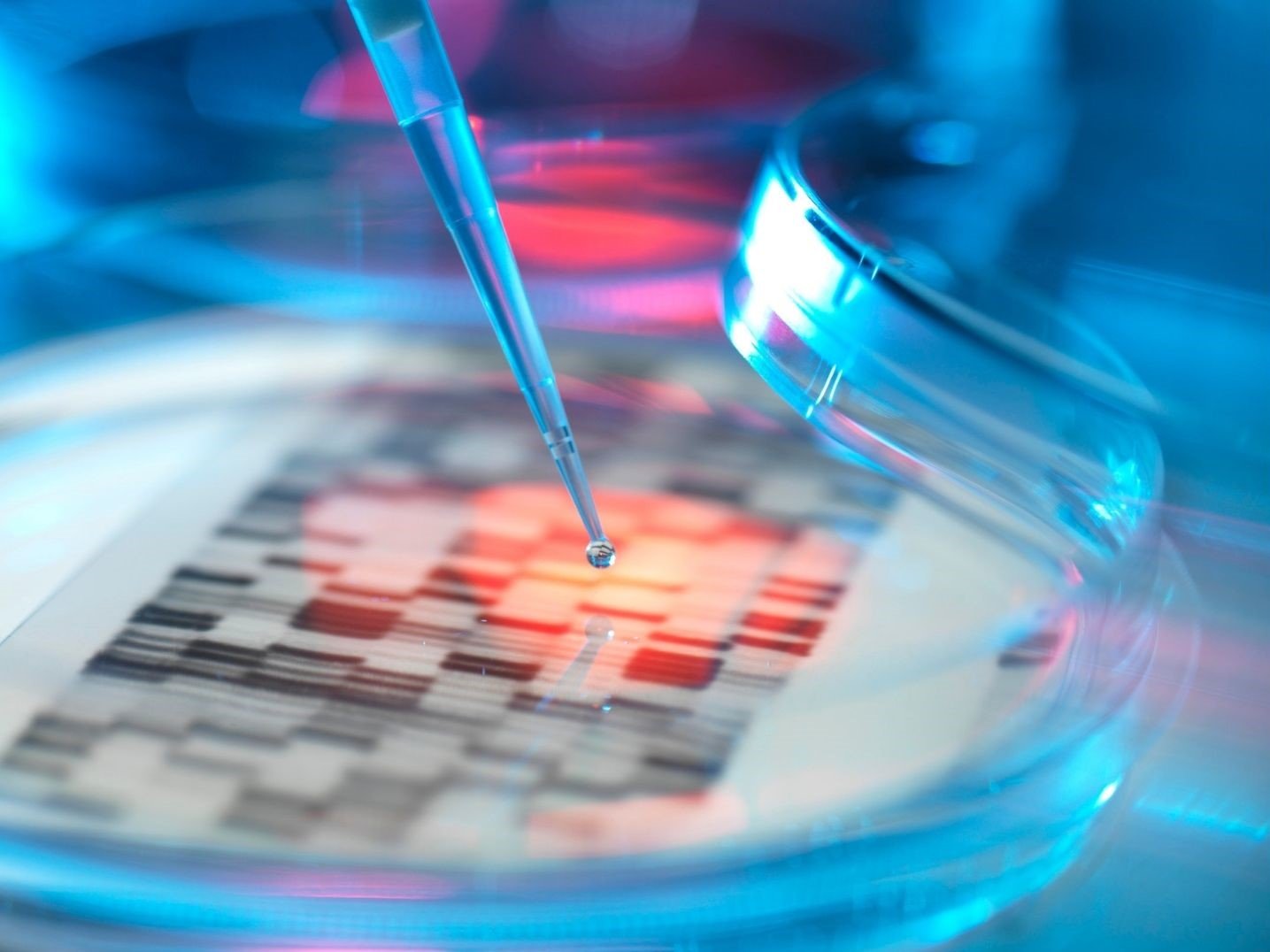A pipette over a Petri dish