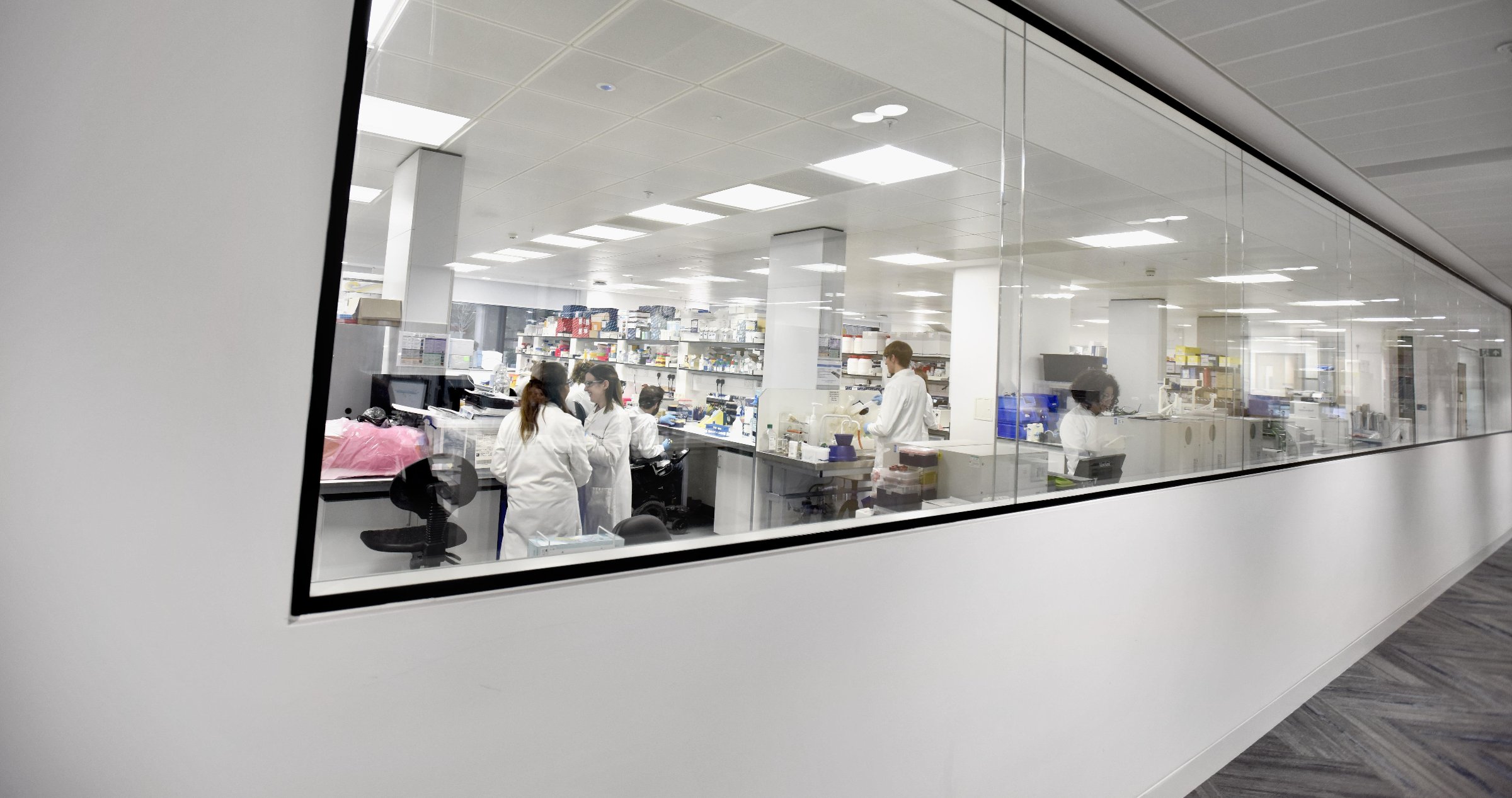 Photograph of the Oxford-Harrington Rare Disease Centre laboratories, where scientists can be seen at work on drug development for rare diseases