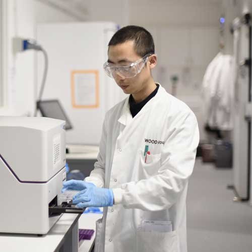 A scientist using a laboratory imagery screening machine