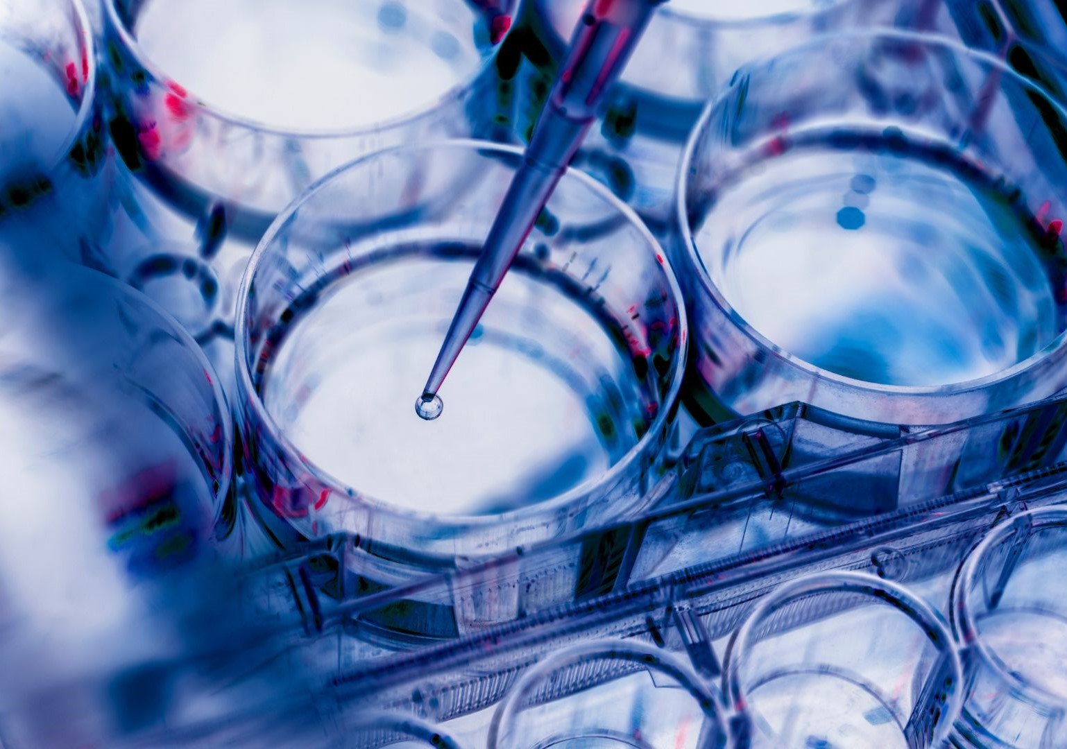 The Oxford-Harrington Rare Disease Centre 2024 Scholar Award