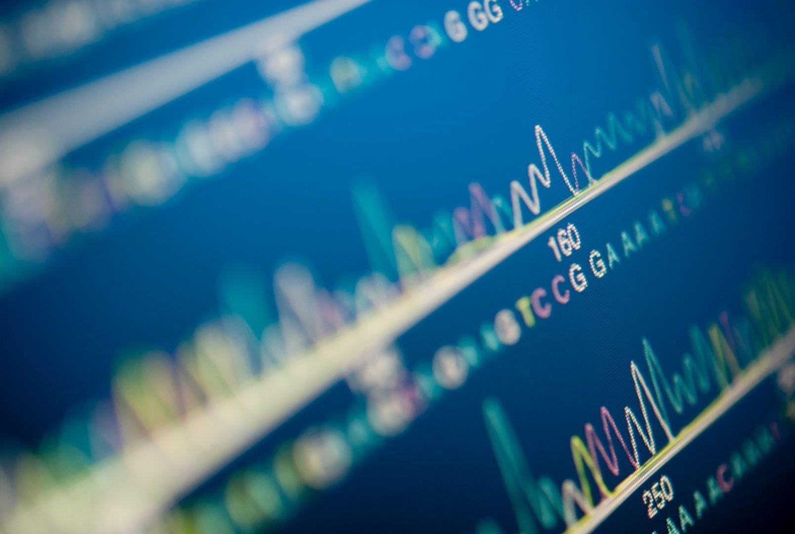 Computer screen image of DNA sequencing