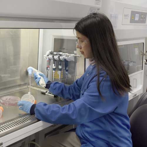 Scientist pipetting in a laboratory fume cupboard