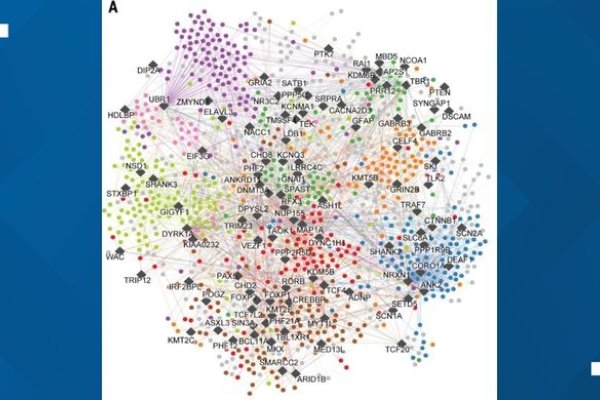 Image Credit: The Quantitative Biosciences Institute at the University of California, San Francisco