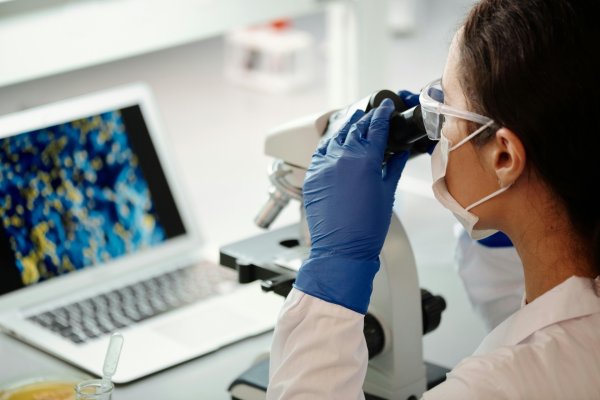 A scientist looking at tissues and cells through a microscope