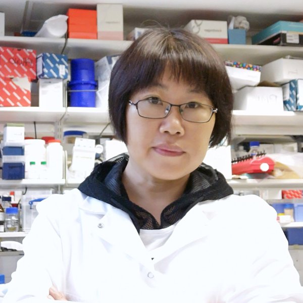 Haiyan Zhou, MD, PhD