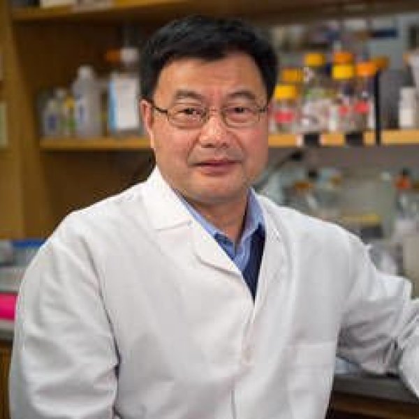Xianxin Hua, MD, PhD
